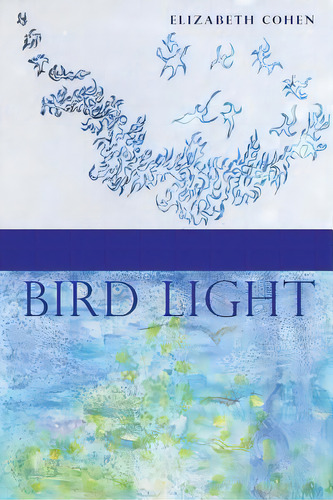 Bird Light, De Cohen, Elizabeth. Editorial Lightning Source Inc, Tapa Blanda En Inglés