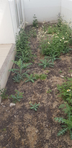 Casa Sola En Venta En Residencial El Refugio, Querétaro, Querétaro