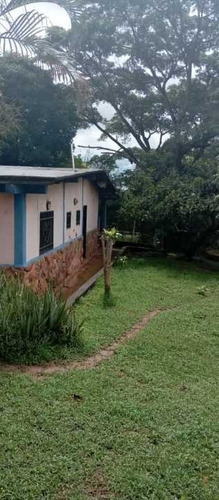Imagen 6 de 9 de Mini Finca En Campo Carabobo