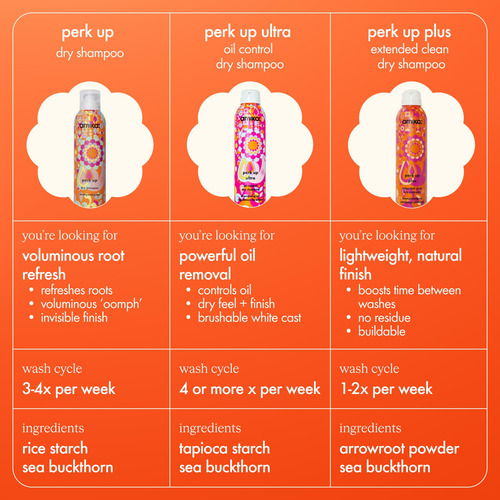 Champô Seco Amika Perk Up Plus Extended Clean