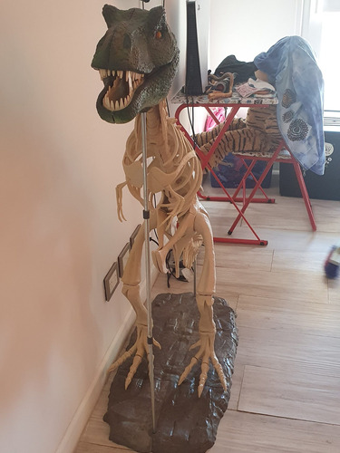 Dinosaurio T-rex Armado Coleccion Completa 120cm Solo Huesos