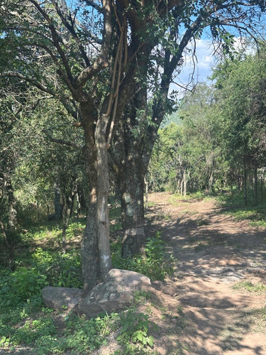 Venta Lotes En Salsipuedes ,villa Sol Frente Complejo Super Mami. 1000m2 Cada Uno En Predio Privado.