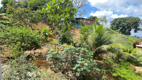 Casa De 6 Cômodos Com Área Livre