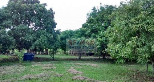 Imagem 7 de 23 de Sítio Com 2 Dormitórios À Venda, 2,24 Alqueires Por R$ 410.000 - Zona Rural - Conchas/sp - Si0011