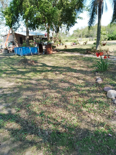 Quinta
