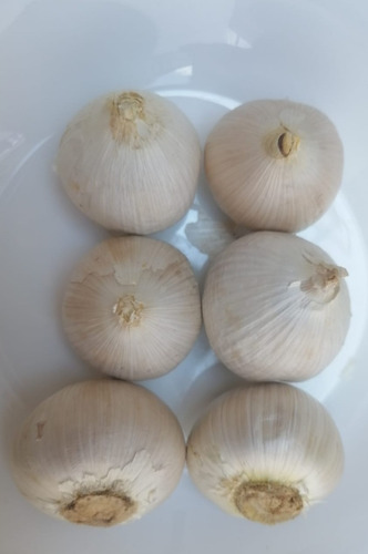 Ajo Macho 1 Kilo