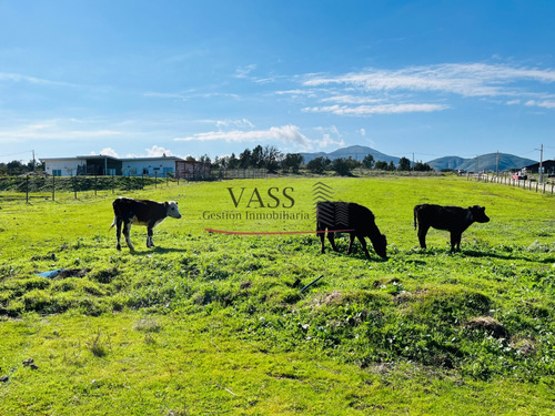 Vass Vende Terreno De 4.367 M2 En Mantagua, Quintero