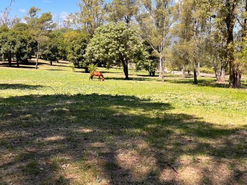 Lotes En Venta Villa General Belgrano El Bosquecillo Cód 2144