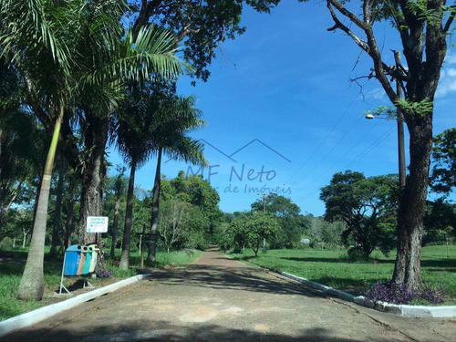 Imagem 16 de 19 de Magnífico Pesqueiro Com 60 Mil M2 , 03 Suítes , Pirassununga Sp - V10132183