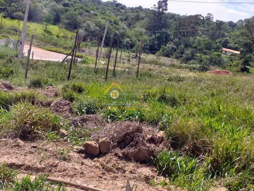 Imagem 4 de 4 de Terreno - Te00375 - 69811954