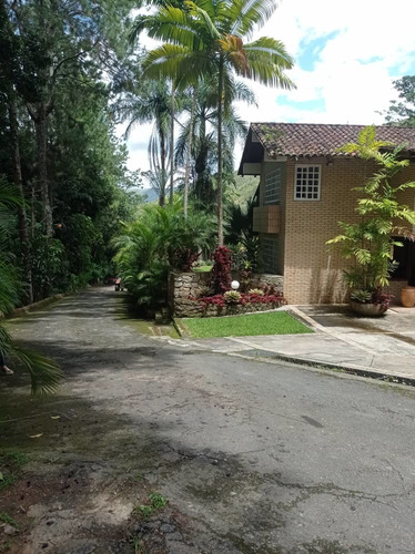 Imagen 4 de 14 de En Venta Casa En Palmarito. Maracay. Aragua.
