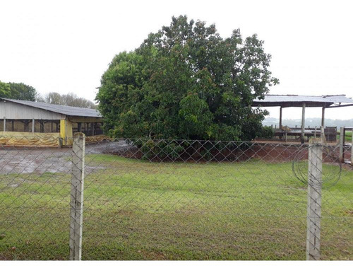 Chácara Com Granja Funcionando Em Quadra / Tatuí - 34 Mil M² - 1022