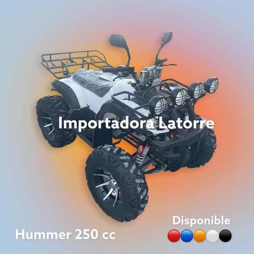 Imagen 10 de 10 de Heng Jun Atv 250 Cc
