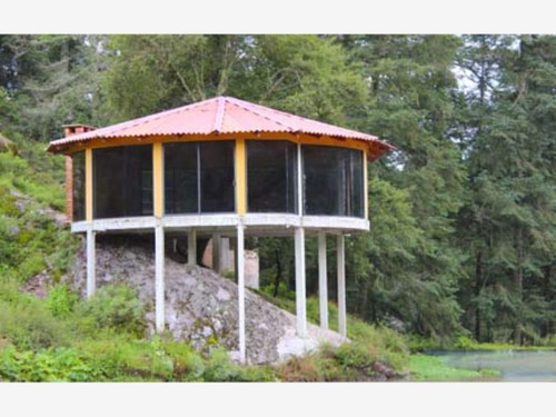 Imagen 5 de 12 de Terreno En Venta Bosque Mágico Para Cabañas, Lotes A Meses Sin Intereses