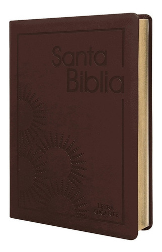 Biblia Reina Valera 1960 Letra Grande Pjr Bordo Concordancia