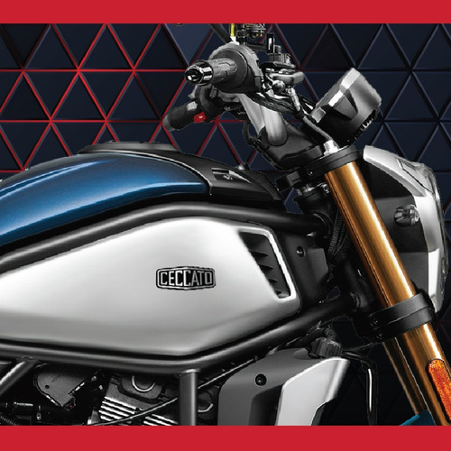 Imagen 3 de 17 de Cfmoto Ceccato 700 Descuento Contado - Unicomoto Canning