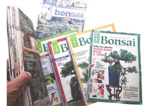 Lote 20 Revistas Bonsai Coleccion Arte Y Cultivo Curso
