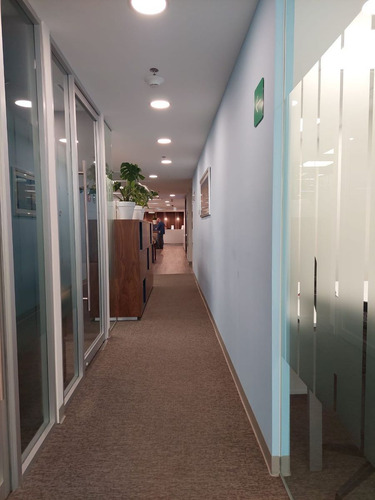 Oficina En Renta En Masaryk Polanco, Miguel Hidalgo Requisitos Minimos