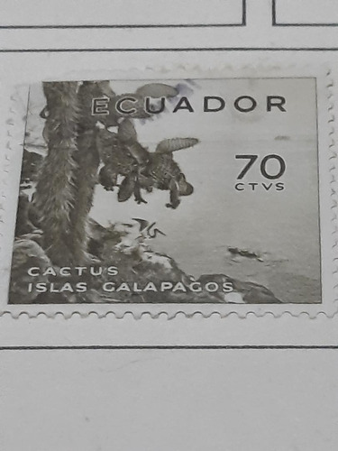 Estampilla    Cactus Islas Galápagos     70    1007   A3