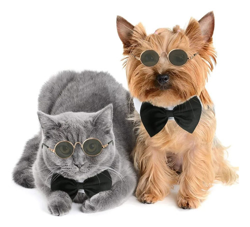 Lentes Gafas Para Perros Y Gatos - Unidad a $17800