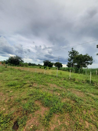 Imagem 10 de 14 de Sítio 25 Hectares - 0034