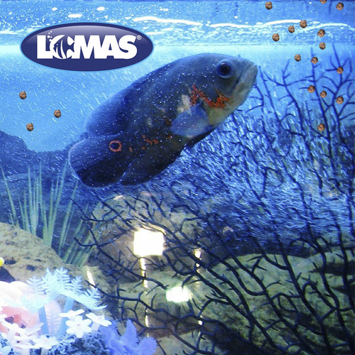 Combo Alimento Premium Lomas Betta Pellets 20g 15 Pzas