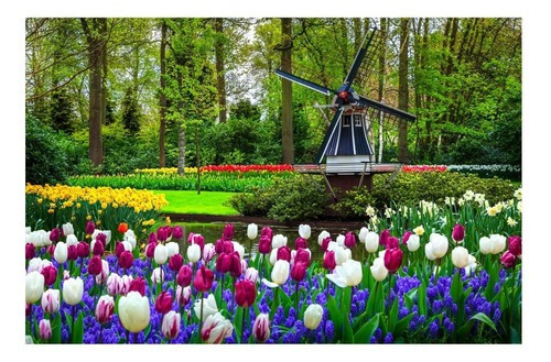 Rompecabezas Wuundentoy Gold Edition 1500 Pzs, Jardín Botánico Keukenhof