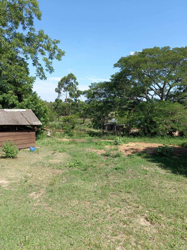 Imagem 7 de 14 de Sitio - St00117 - 71041109