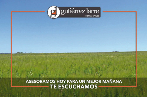 Campo 28 Ha Panorámicas Con Buenas Aguadas Naturales