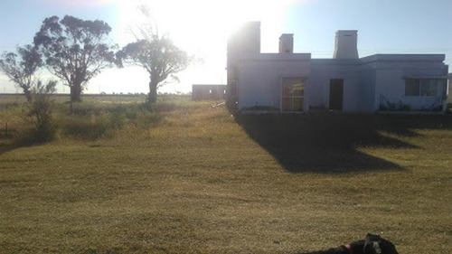 Imagen 7 de 16 de Terreno San Clemente Del Tuyú, Barrio Playa Grande Con Arboles. Escritura Inmediata