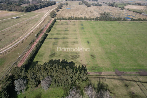 Imagen 9 de 26 de Terreno Fraccion En Venta Ubicado En Cañuelas, Resto De La Provincia, Buenos Aires