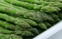 Comprar Semillas Esparragos  Bella Huerta Epoca De Siembra