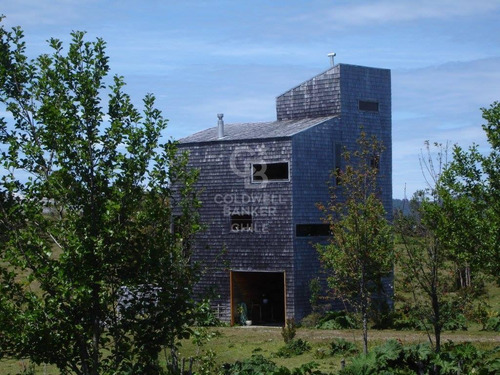 Campo. Parque Tepuhueico