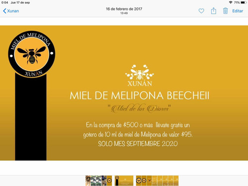 Imagen 7 de 7 de Miel De Melipona