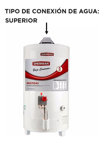Termotanque A Gas Sherman Rheem De Pie 50 Litros C. Superior