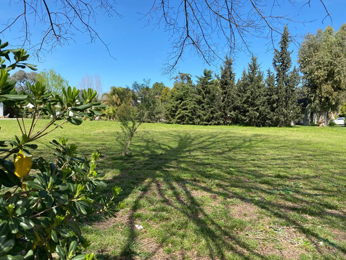 Terreno En Venta En San Diego C.c