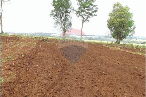 Imagen 5 de 14 de Vendo Casa Quinta En Carmen Del Paraná: 12 Hectáreas Y Media