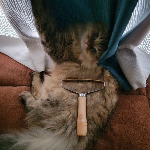 Imagem 7 de 8 de Lint Cleaner Removedor De Pelos Tradicional - Frete Grátis