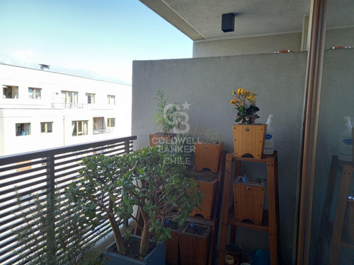 Departamento En Venta Pedro Lautaro Ferrer Ii