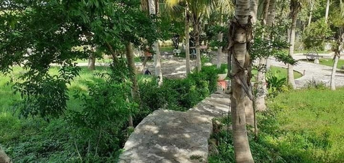 Imagen 6 de 20 de Espectacular Hacienda En Tekit