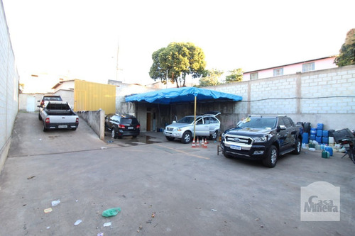Imagem 8 de 8 de Lote À Venda No Palmeiras - Código 267424 - 267424