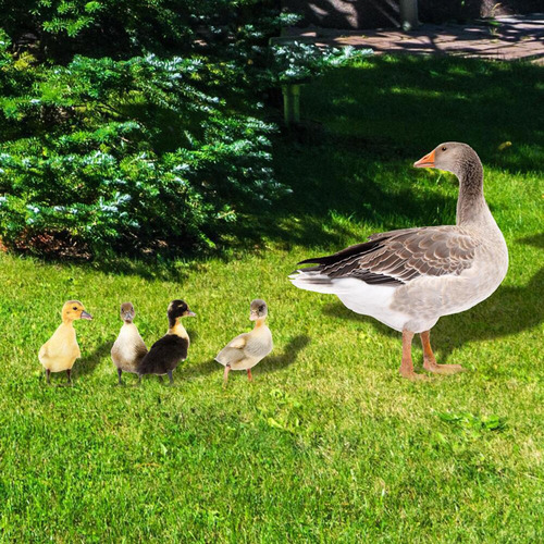 5 Piezas De Estatua De, Estacas De Animales, Adornos,