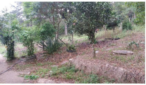 Imagem 3 de 6 de Oportunidade Ótimo Preço - Sp Capital - 68143