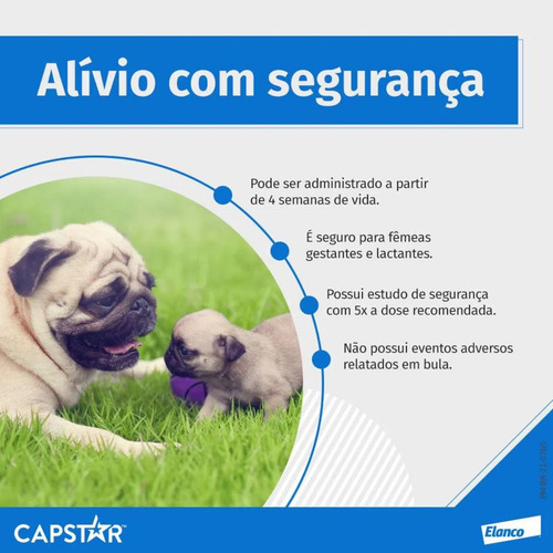 Capstar Antipulgas Cães E Gatos De 1 A 11,4kg - C/ 6 Comp