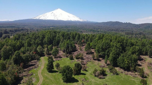 Imagen 15 de 27 de Hermosas Parcelas Insertas En El Bosque Nativo En Pucon