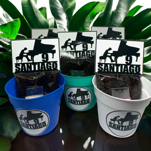 Souvenir Educativo ,maceta Y Semillas , Oferta! N8 X 55 Unid