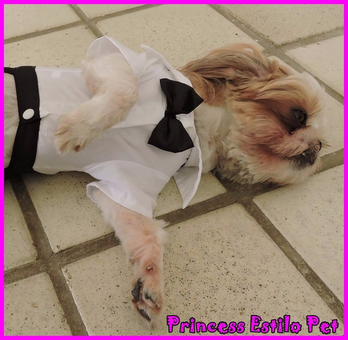 Imagem 3 de 5 de Roupinha Para Macho Para Seu Pet -tam P