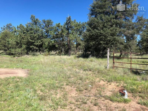 Imagen 8 de 11 de Terreno En Venta El Soldado, Dgo