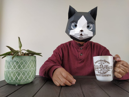 Mascara 3d De Cartulina Modelo Gato