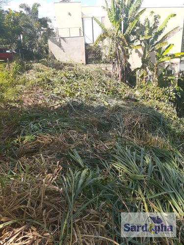 Imagem 6 de 10 de Lote / Terreno Em Paraisópolis - São Paulo - 4164
